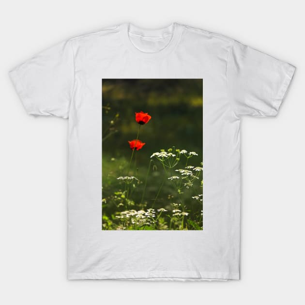 Joy of Spring T-Shirt by bakikaracay